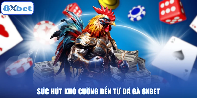 Sức hút khó cưỡng đến từ đá gà 8XBET